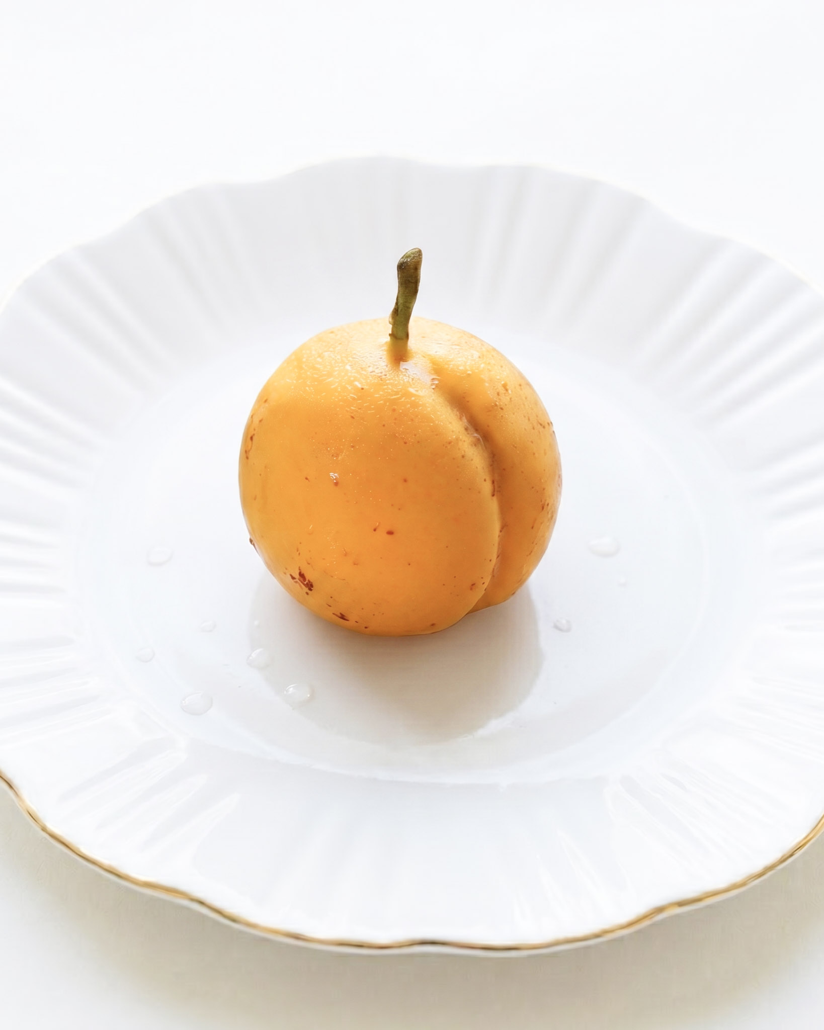 Apricot